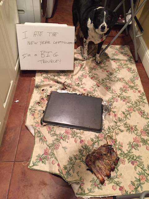 Sienna and the rib roast